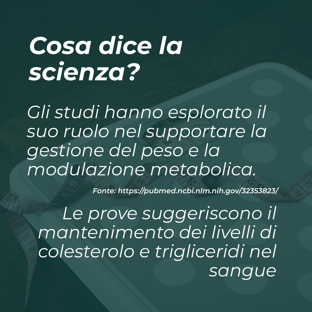 Berberina italia migliore