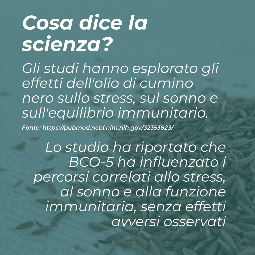 benefici olio di cumino nero