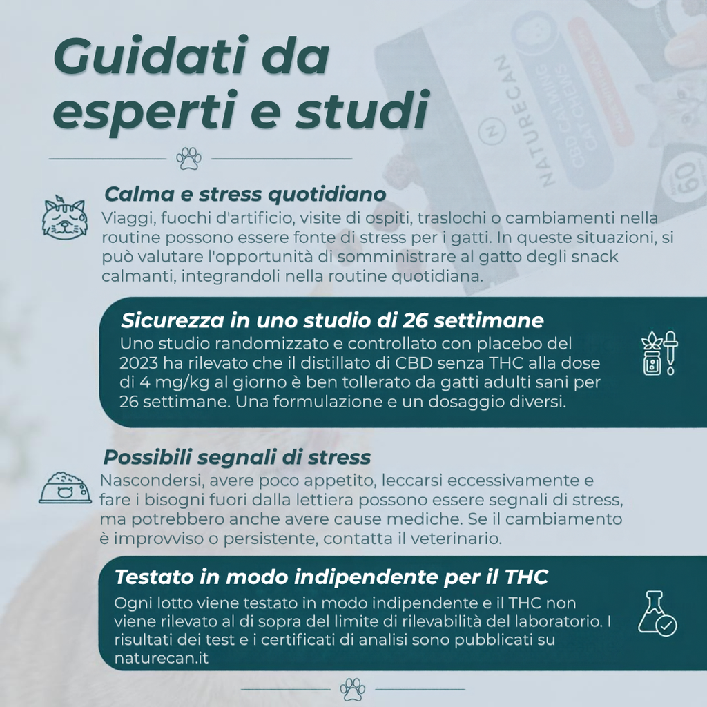 Snack calmanti al CBD per gatti studi
