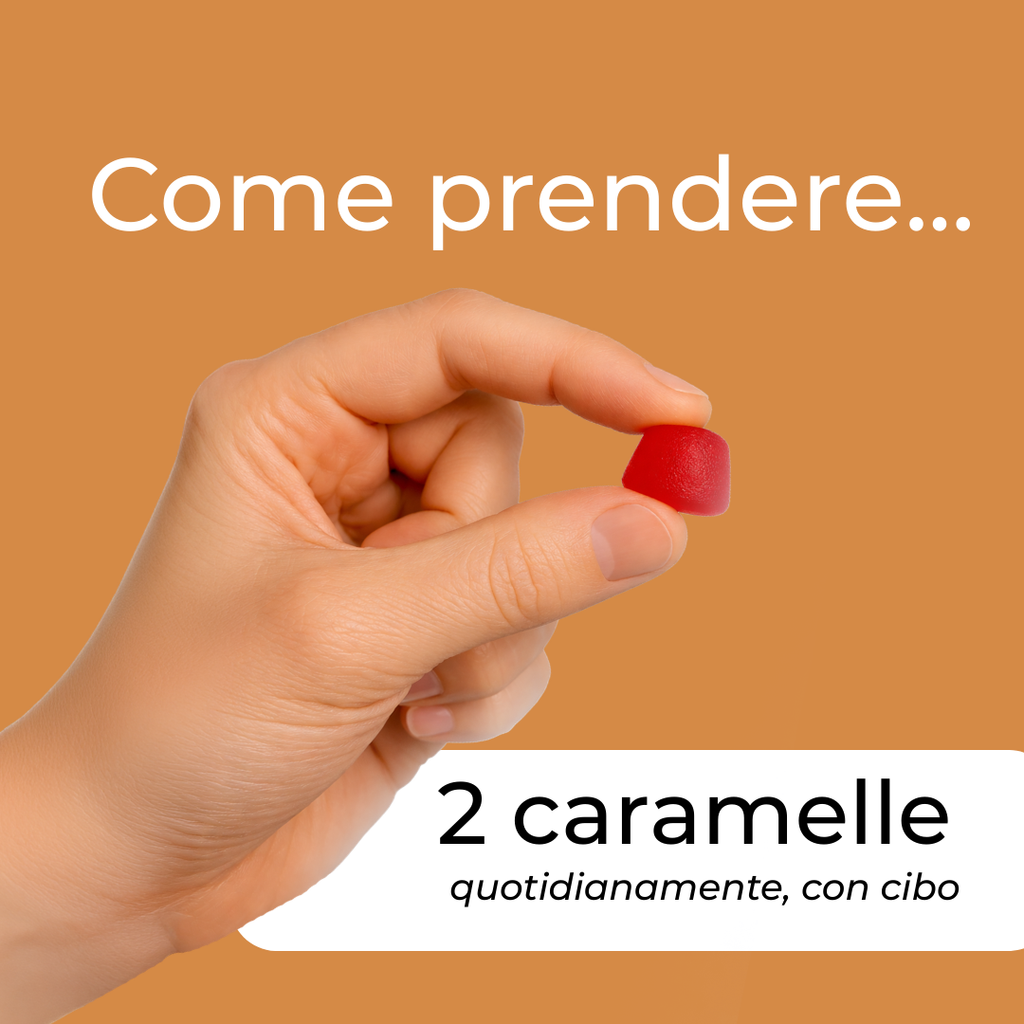 reishi dose giornaliera