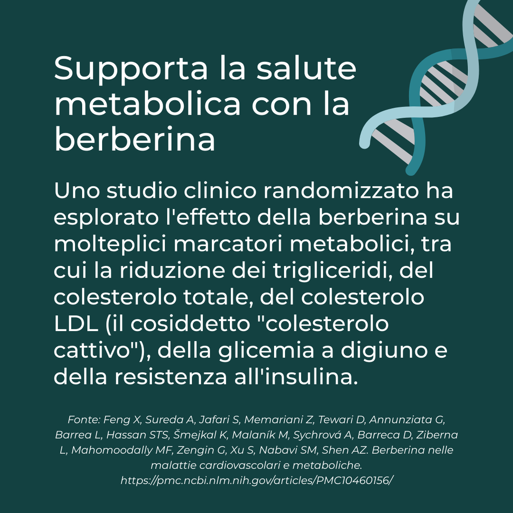 berberina benefici