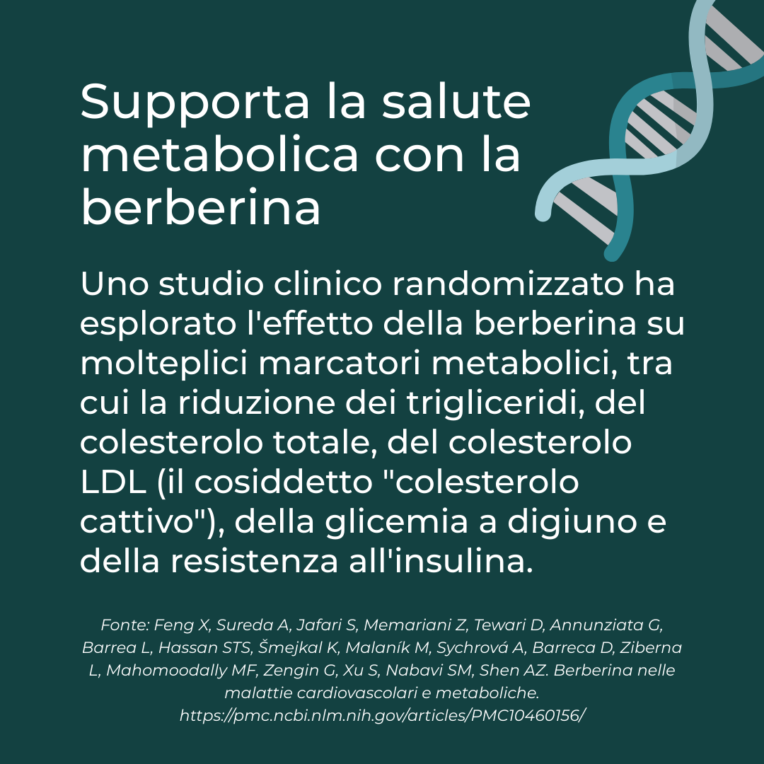 berberina benefici