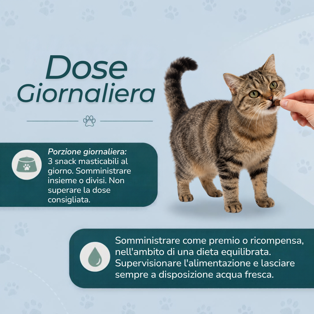 Snack calmanti al CBD per gatti dose giornaliera