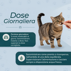 Snack calmanti al CBD per gatti dose giornaliera
