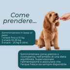 Snack Masticabili NMN per Cani dosaggio
