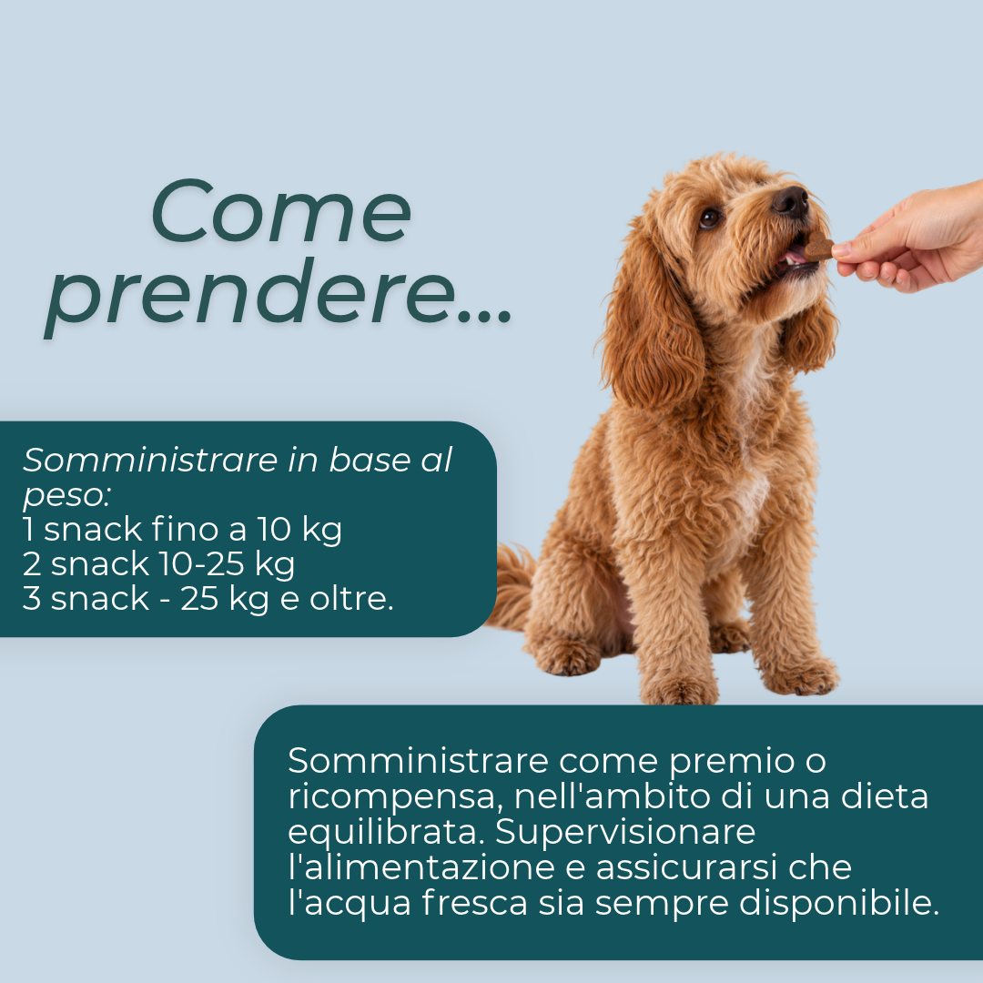 Snack Masticabili NMN per Cani dosaggio