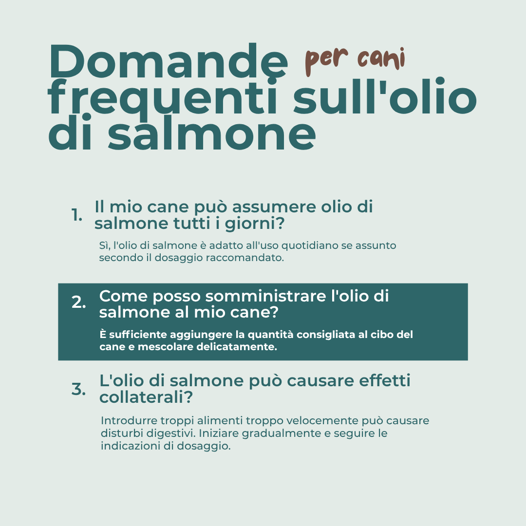 Olio di salmone per cani a cosa serve