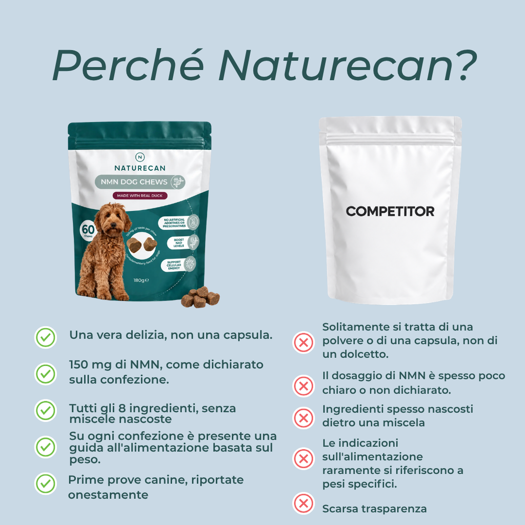 Snack Masticabili NMN per Cani italia