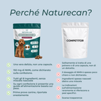 Snack Masticabili NMN per Cani italia