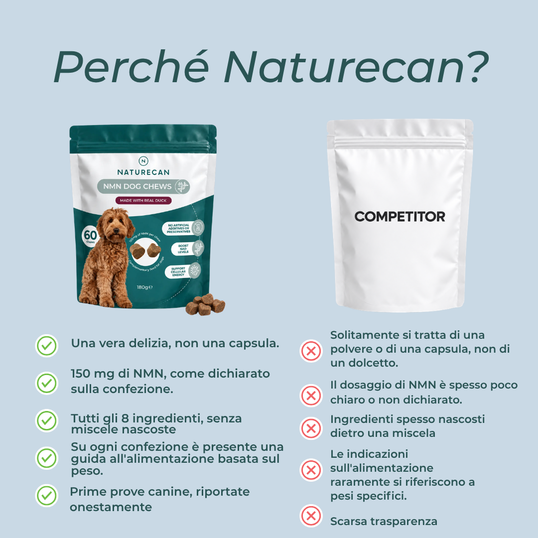 Snack Masticabili NMN per Cani italia