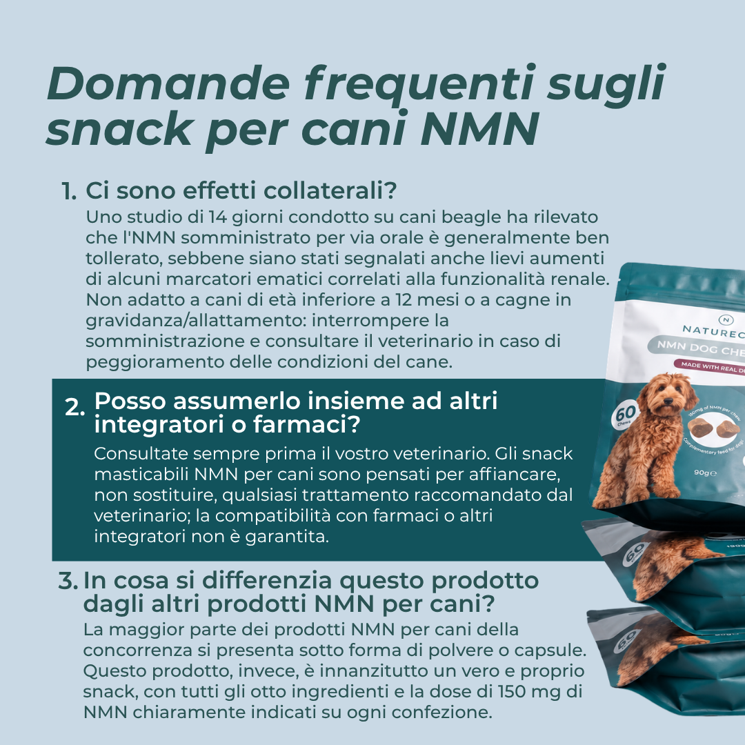 Snack Masticabili NMN per Cani domande frequenti