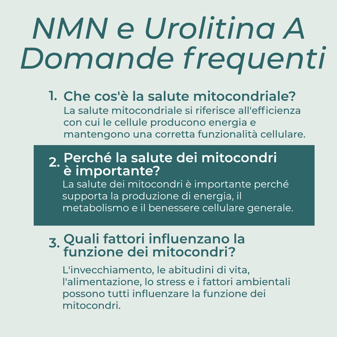  NMN e Urolitina A domande frequenti