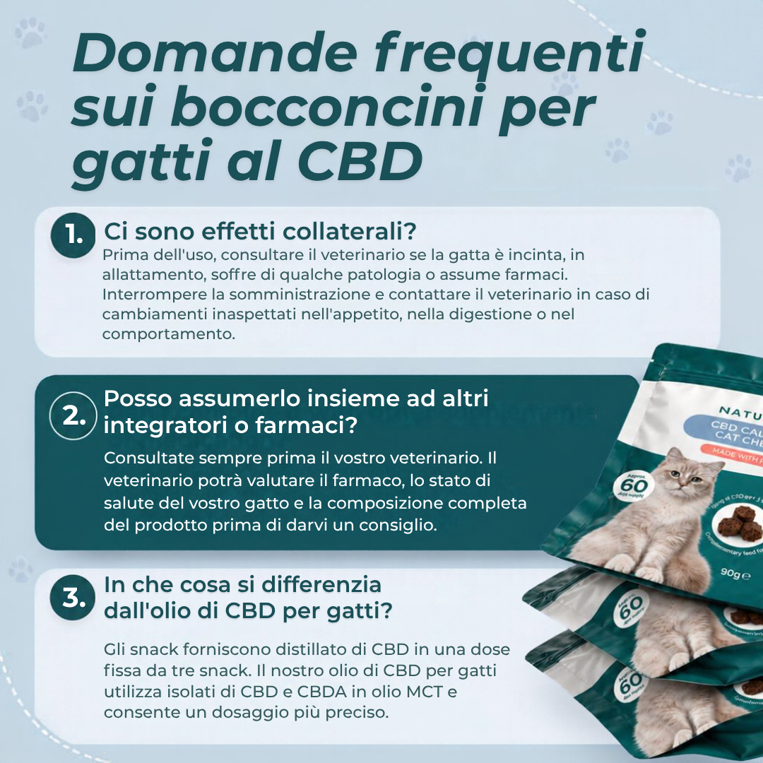 Snack calmanti al CBD per gatti domande frequenti