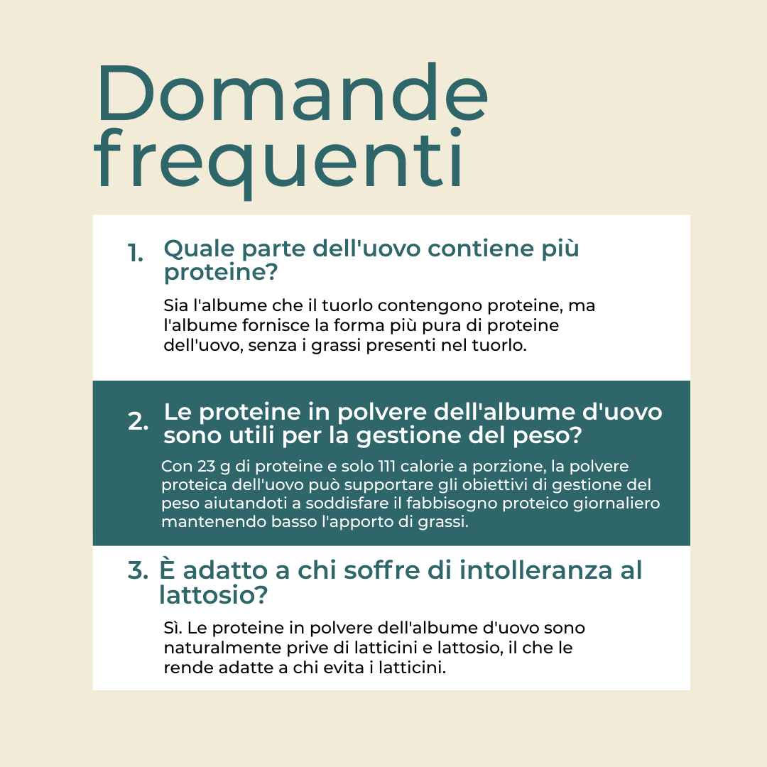 Proteine in polvere dell'albume d'uovo cos'è