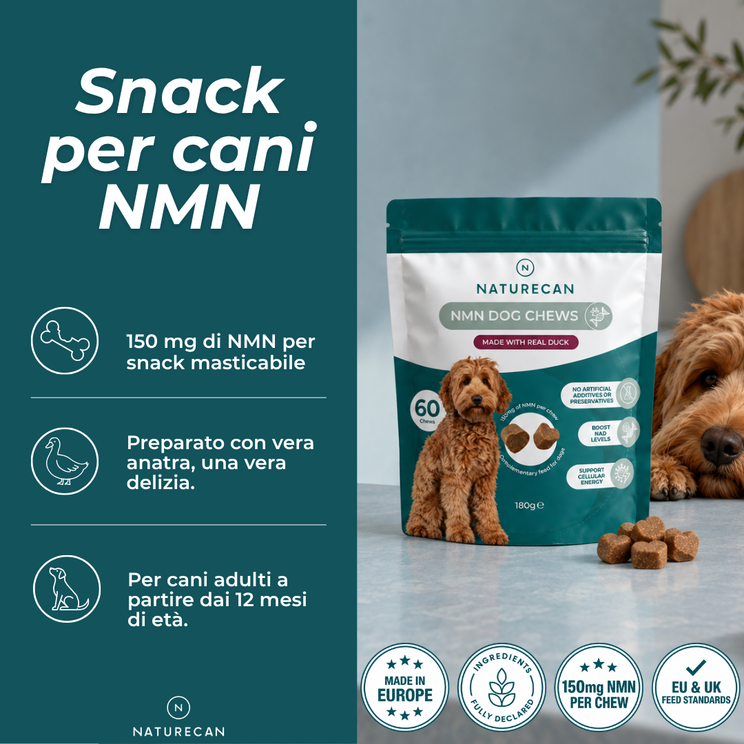 Snack Masticabili NMN per Cani e anatra