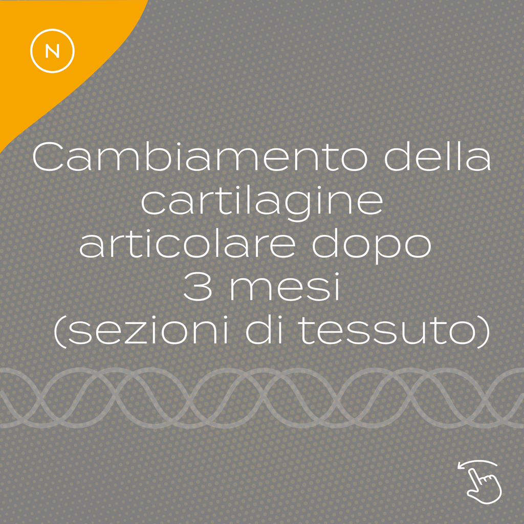 Peptidi di Collagene cartilagine benefici