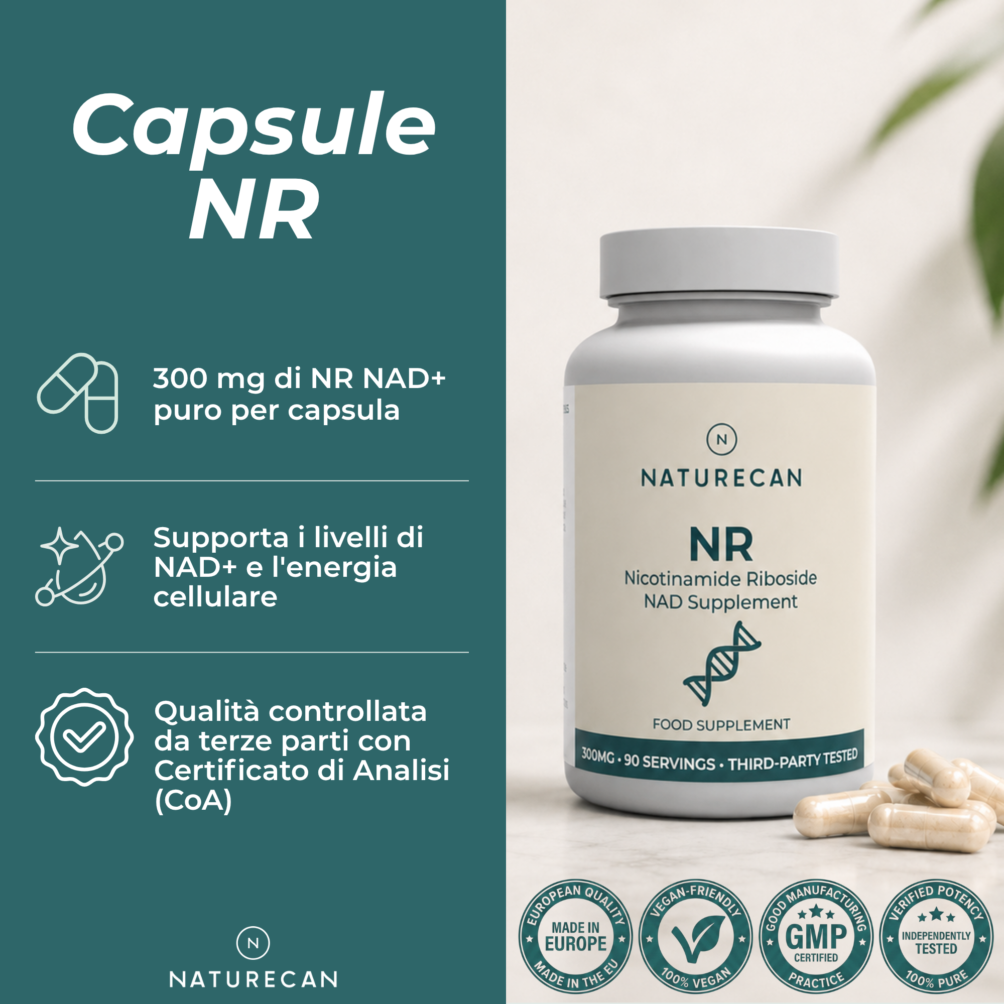 NR capsule
