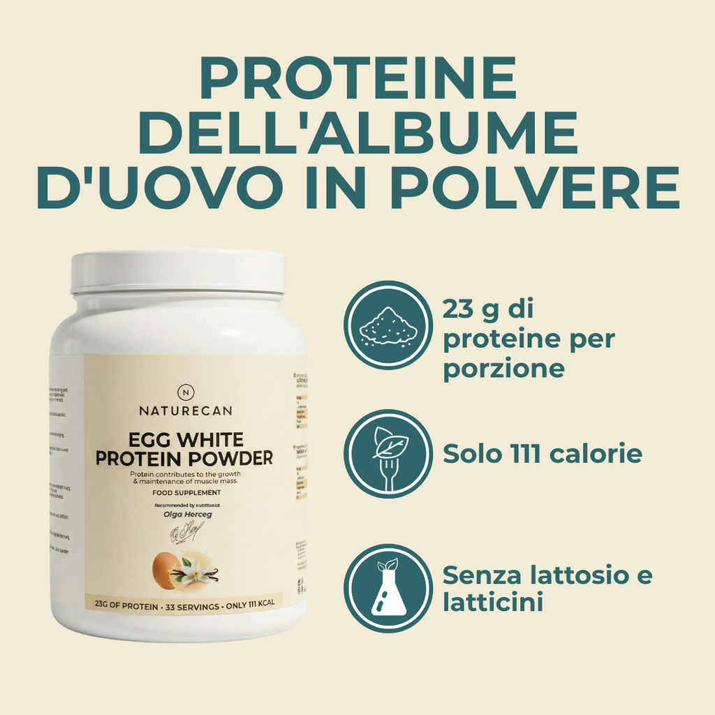 Proteine in polvere dell'albume d'uovo