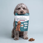Snack Masticabili NMN per Cani