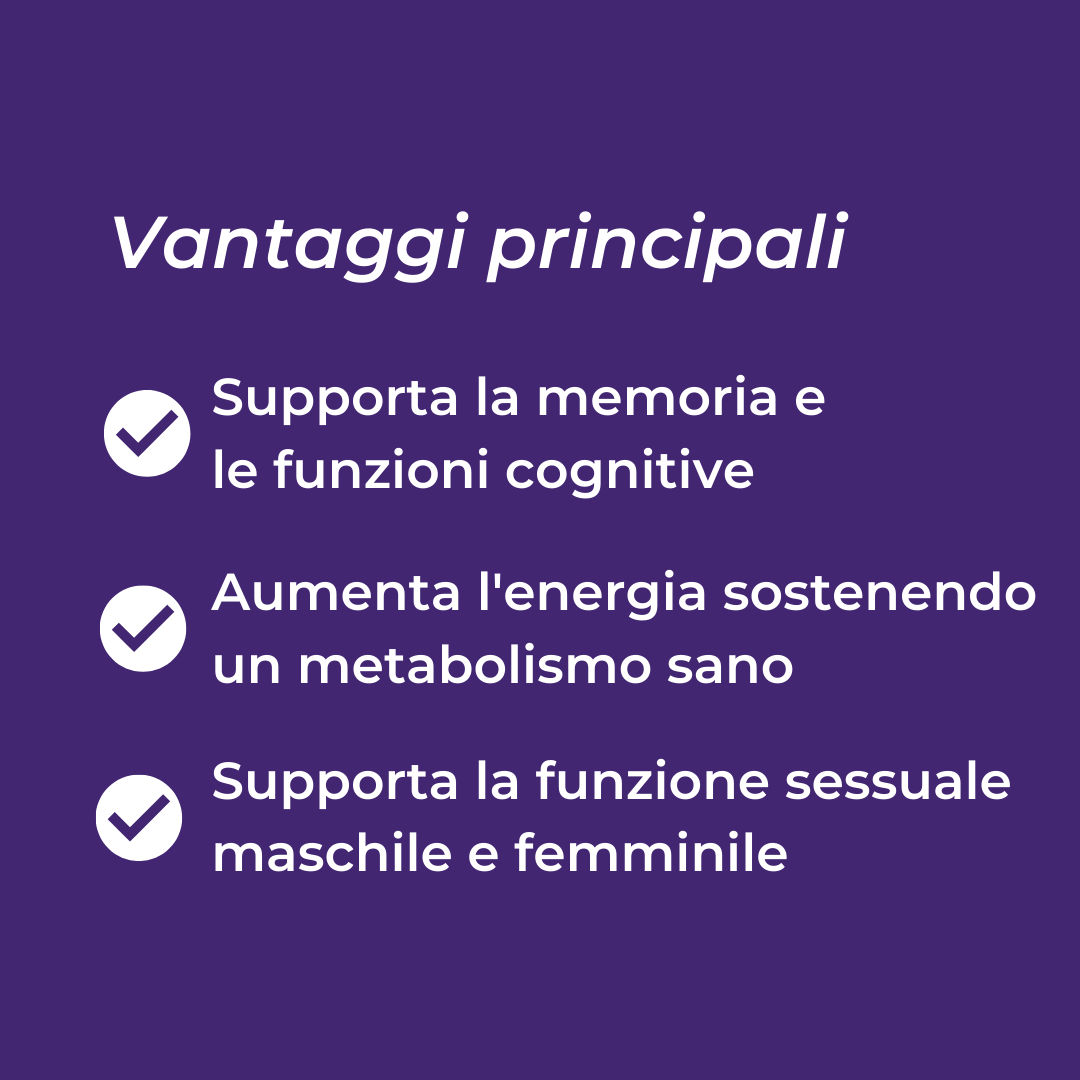 Shilajit benefici