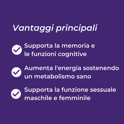 Shilajit benefici