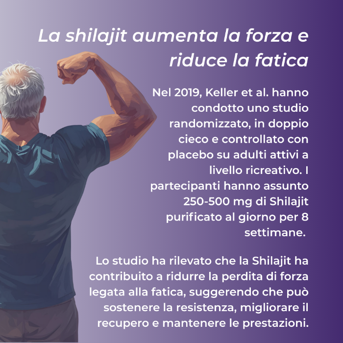 Shilajit capsule riduce fatica