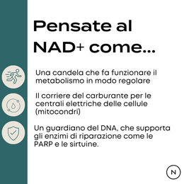 nmn nad