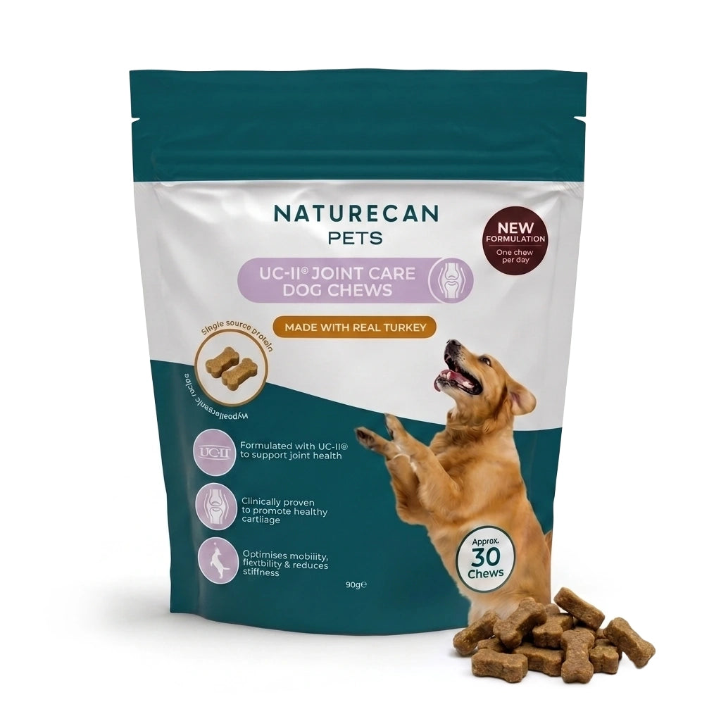 Snack per cani per la cura delle articolazioni con collagene UC-II®