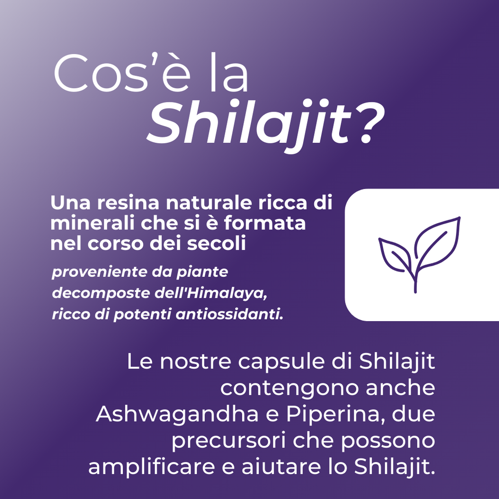 Shilajit cos'è