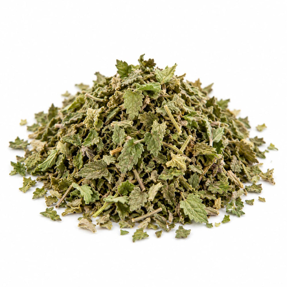 Erba gatta (Nepeta cataria)