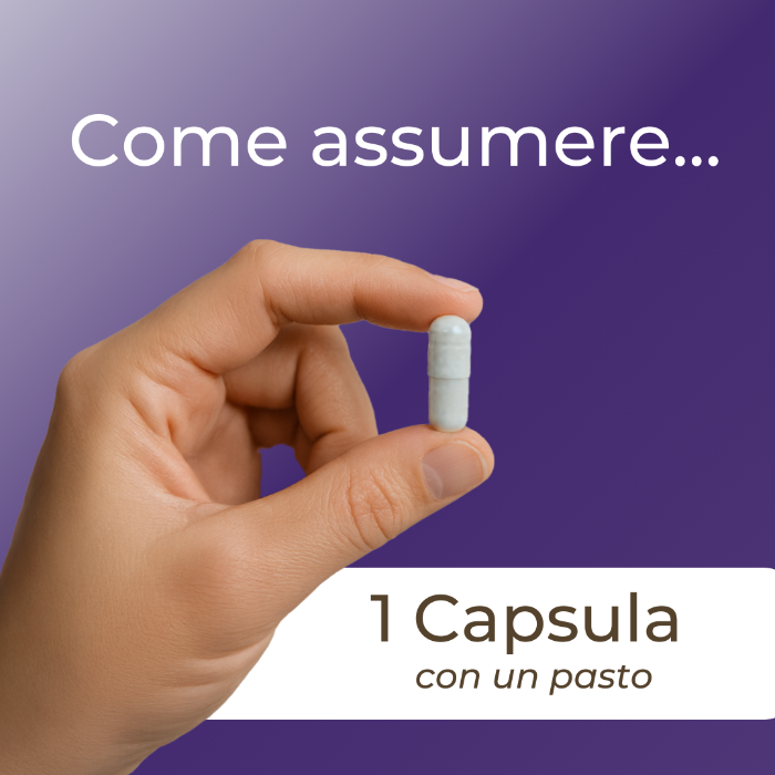 Shilajit capsule dosaggio