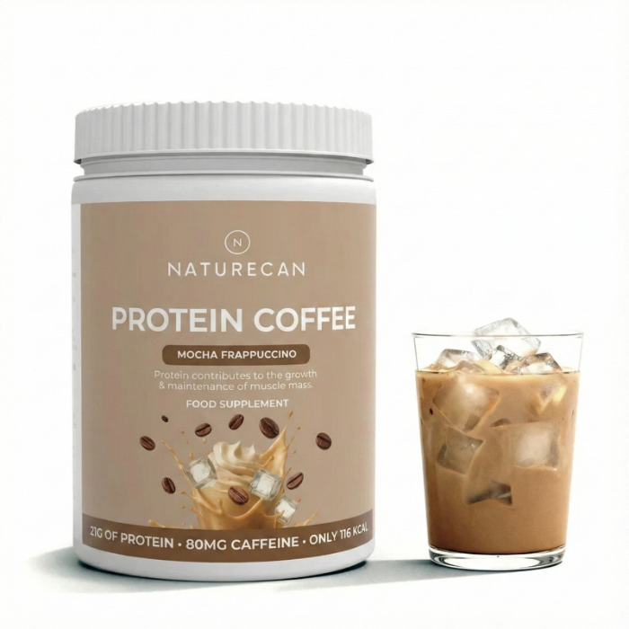 Mocha Frappuccino