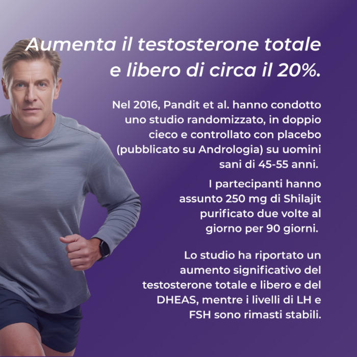 Shilajit testosterone