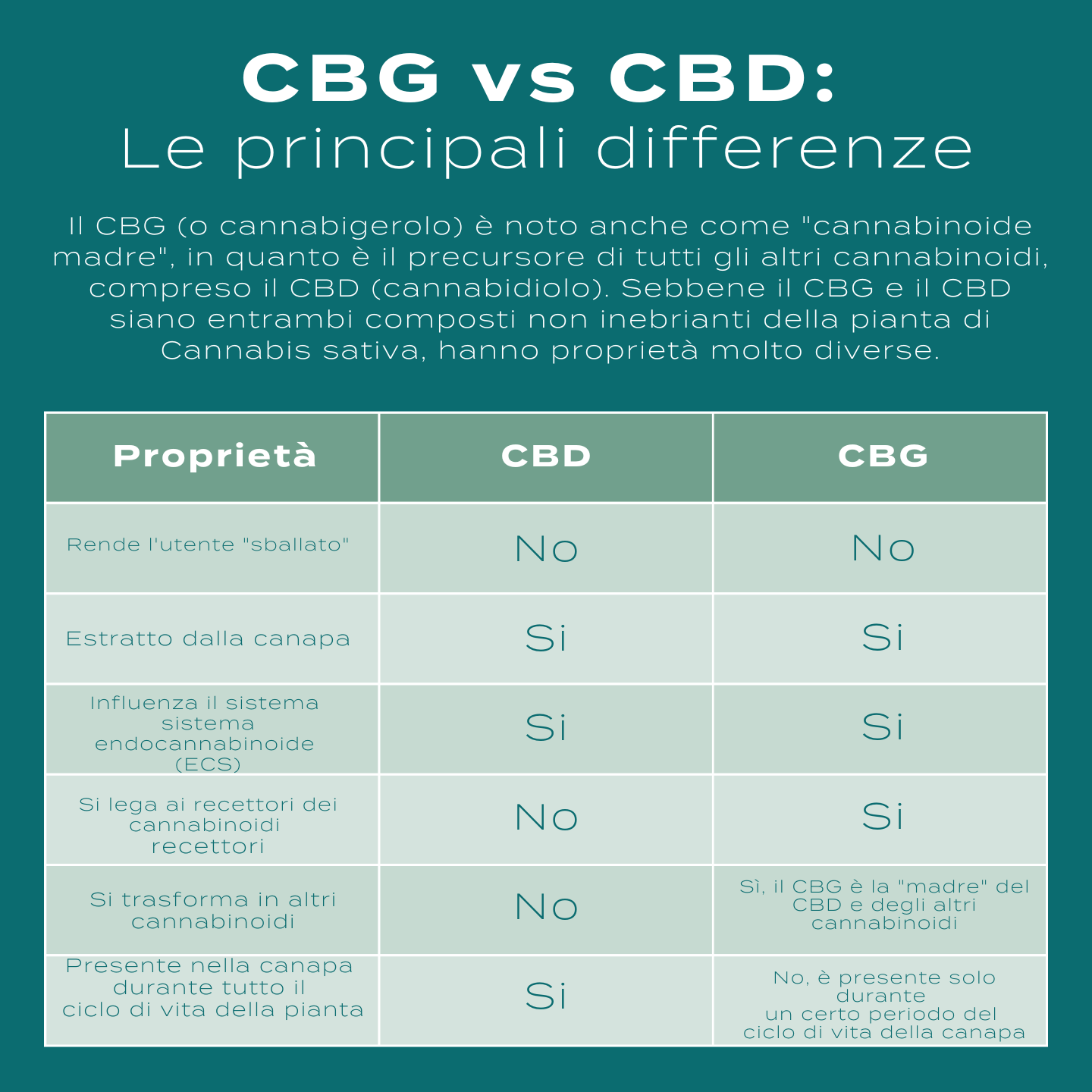 differenze tra cbd e cbd