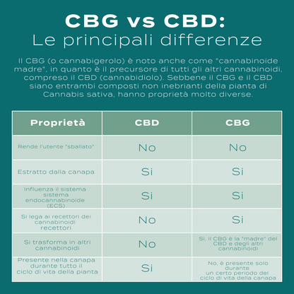 differenze tra cbd e cbd