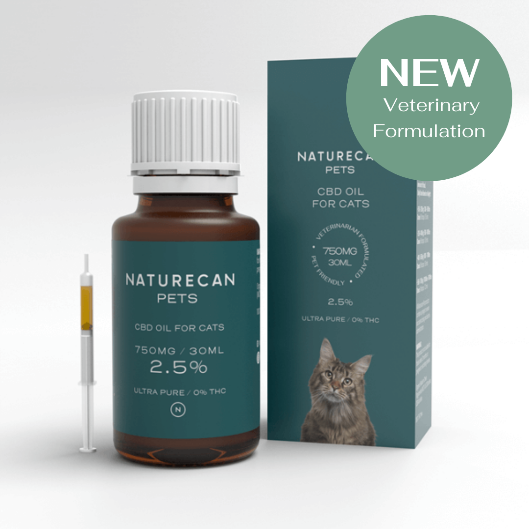 olio cbd per gatto