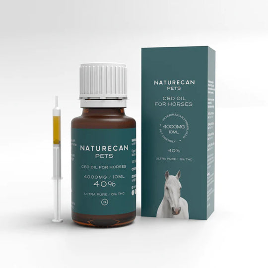 Olio di  CBD per Cavalli