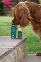 cosa serve il cbd per cani